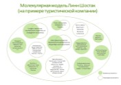 Модель Линн Шостак (на примере туристической компании)